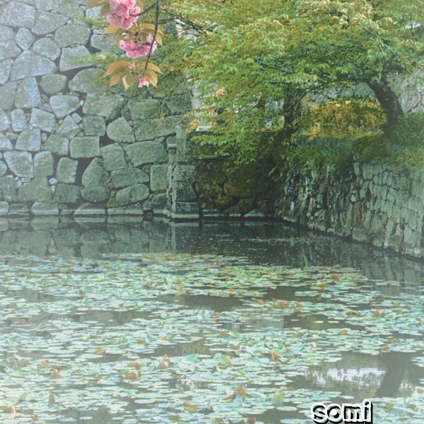 Image Cover